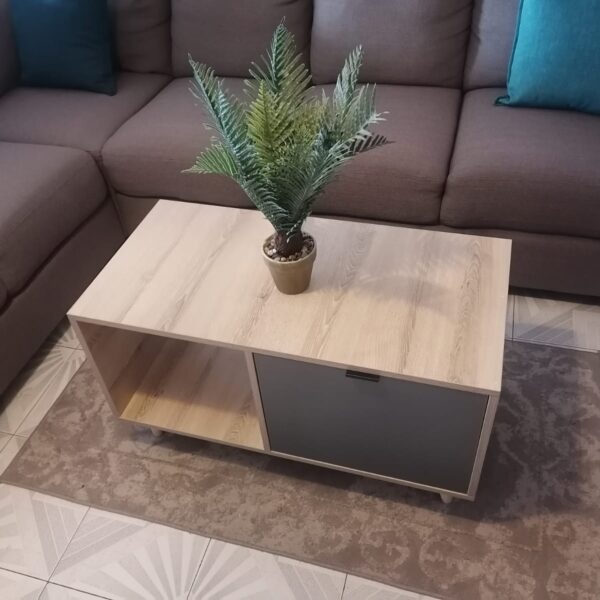 Elegant coffee table AKS9901